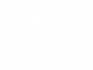 A2